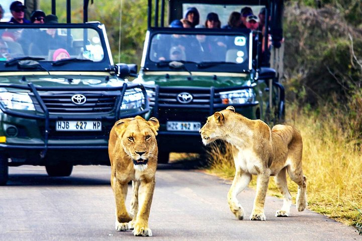 Private South Africa Garden Route Adventure with Addo - Photo 1 of 19